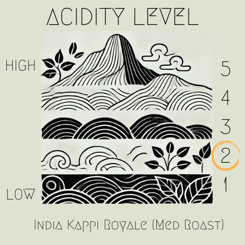 India - Kaapi Royale