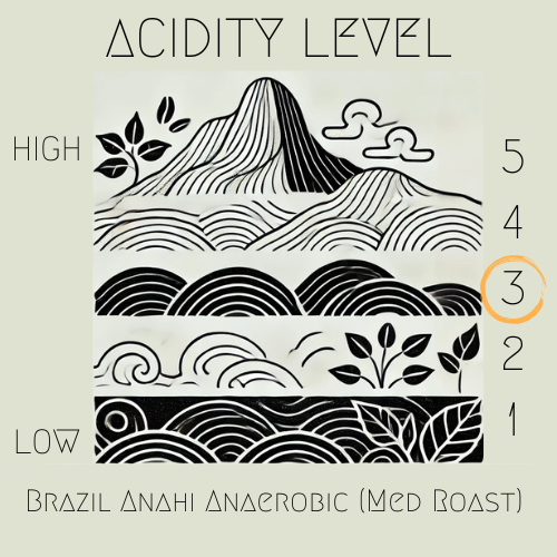 Brazil - Anahi (Anaerobic)