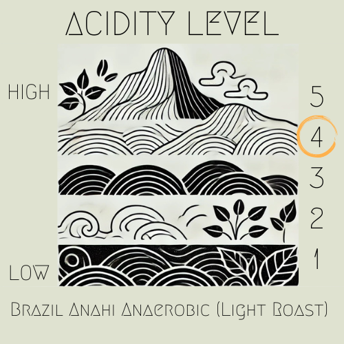 Brazil - Anahi (Anaerobic)